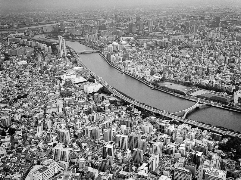 skytower_view.jpg